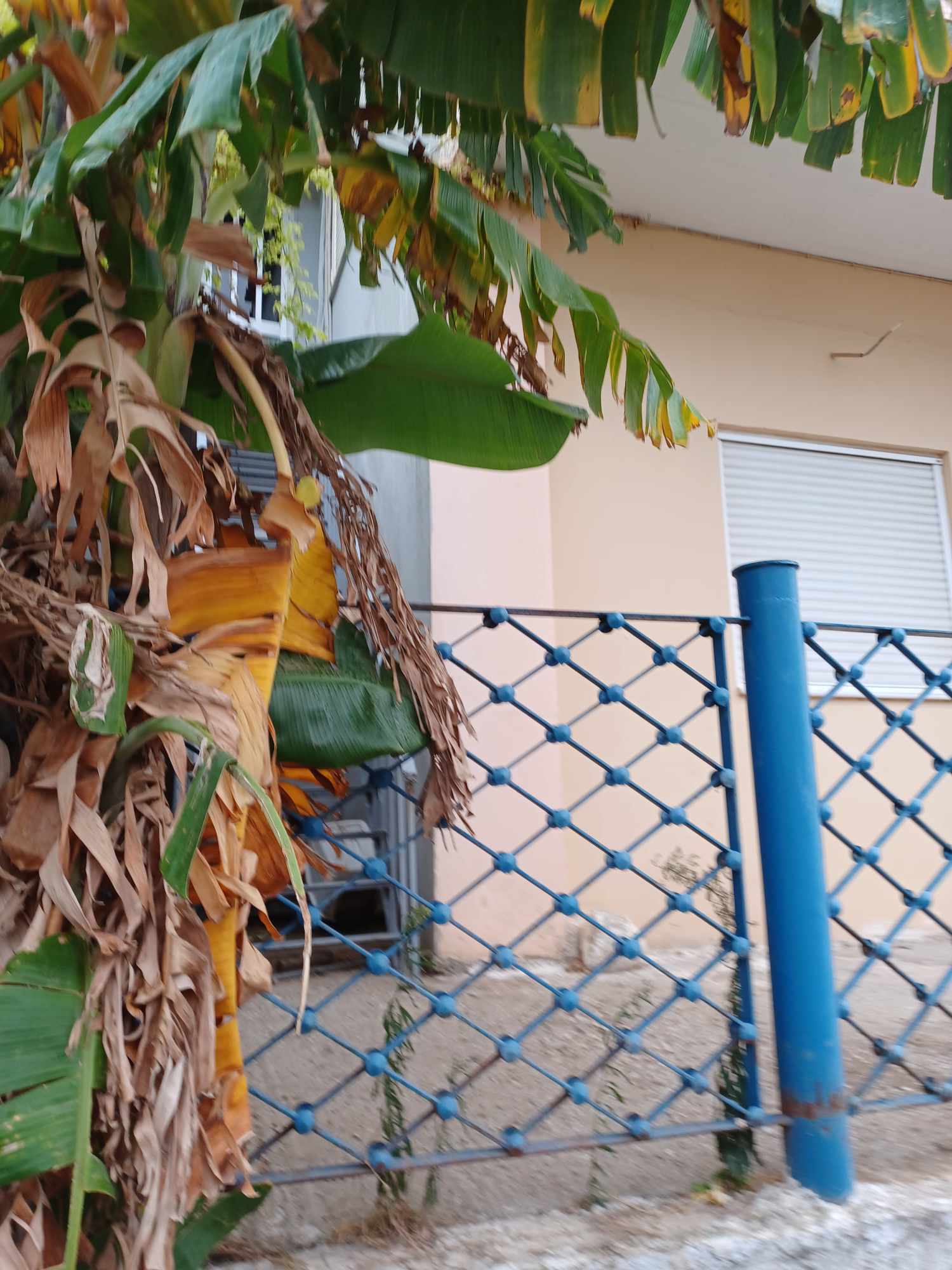 Κατοικία 99.83 τ.μ. σε πλειστηριασμό Δήμος Πατρέων