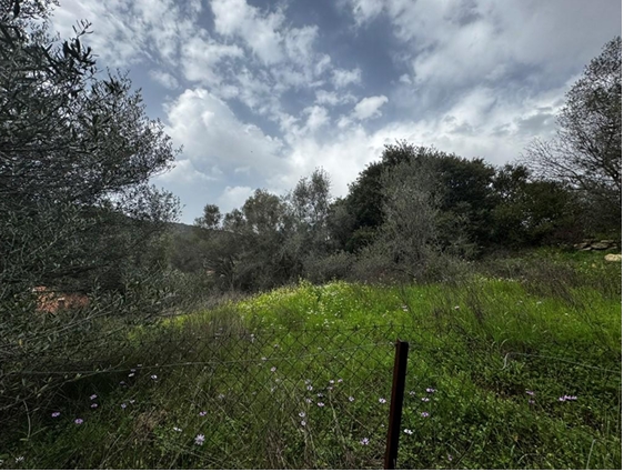 Οικόπεδο  σε πλειστηριασμό Δήμος Νοτίου Πηλίου