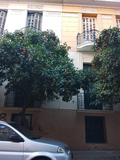 Κατοικία  σε πλειστηριασμό Δήμος Αθηναίων