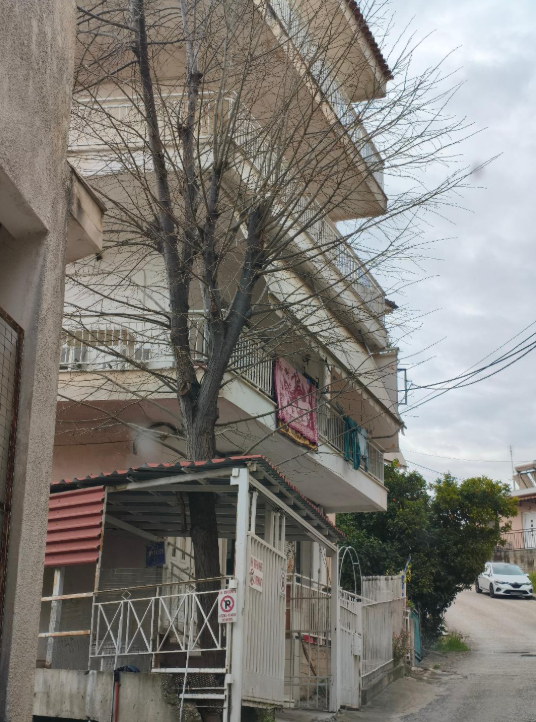 Κατοικία  σε πλειστηριασμό Δήμος Λαμιέων