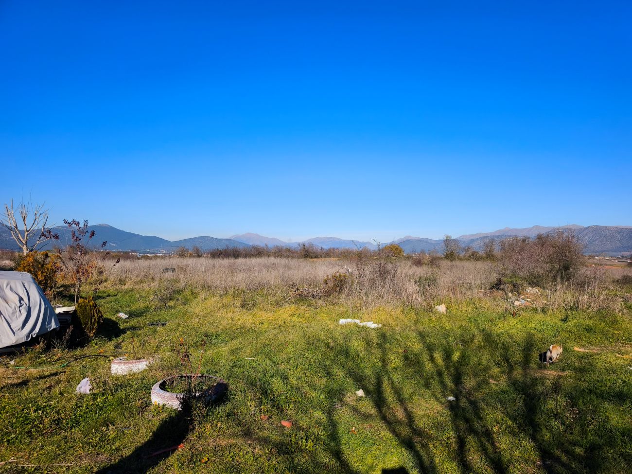 Αγροτεμάχιο 251.82 τ.μ. σε πλειστηριασμό Δήμος Τρίπολης