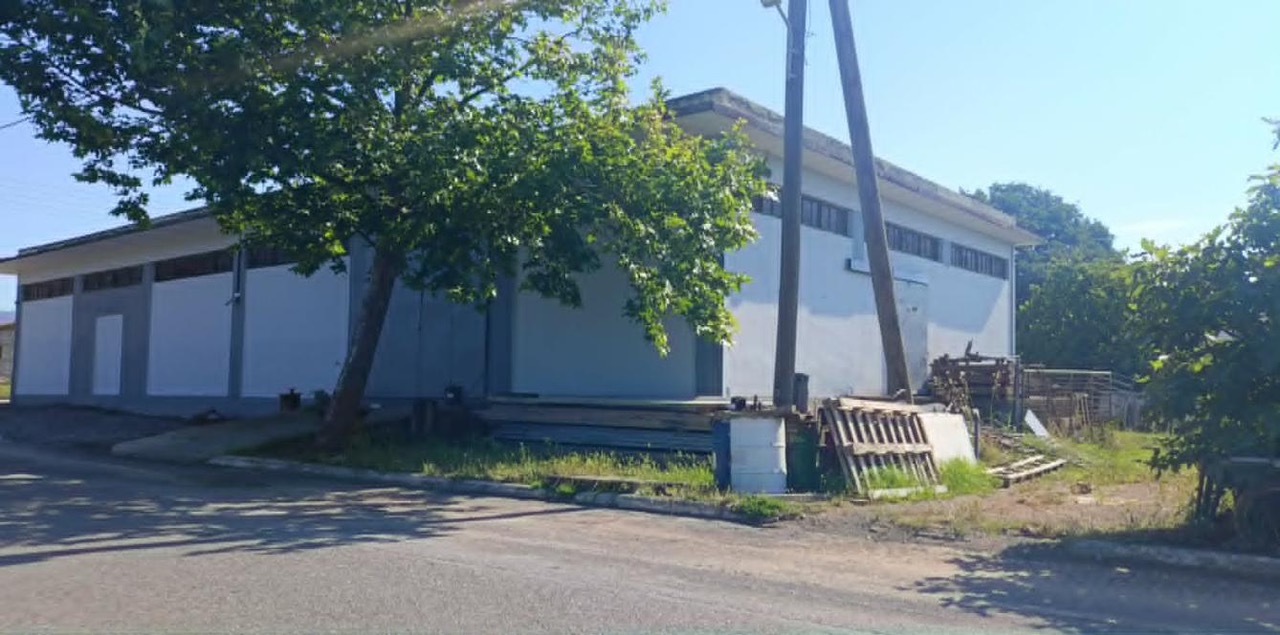 Οικόπεδο με κτίσμα 1206 τ.μ. σε πλειστηριασμό Δήμος Οιχαλίας
