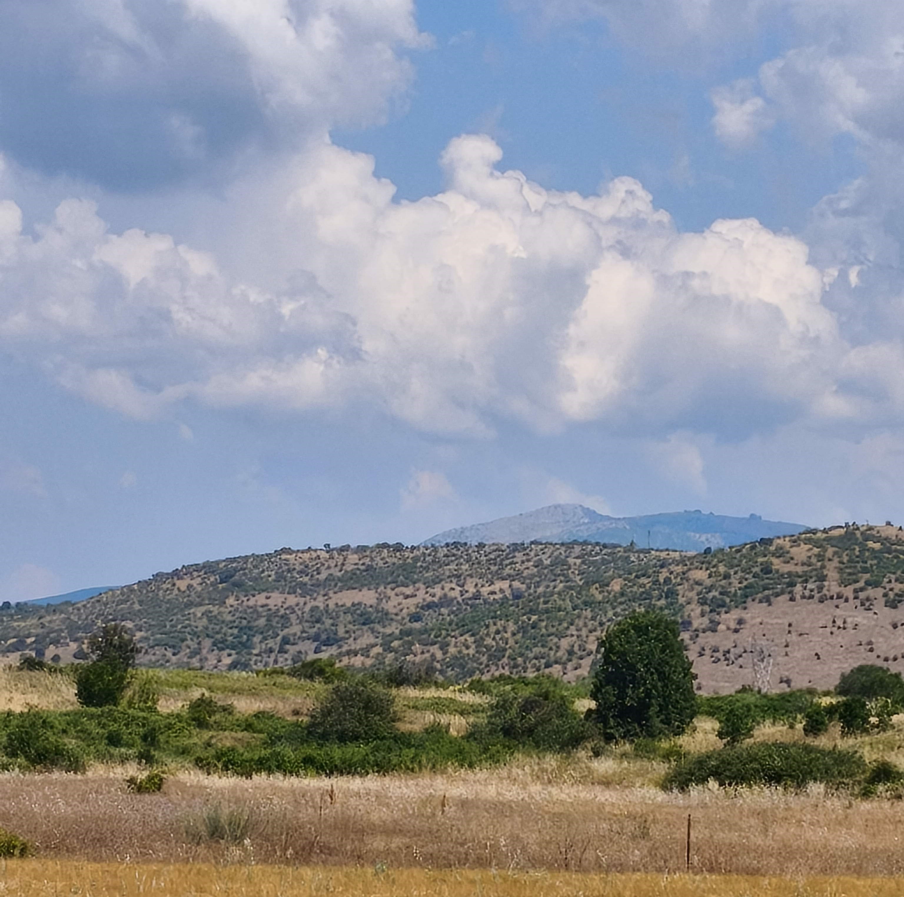 Αγροτεμάχιο  σε πλειστηριασμό Δήμος Άργους Ορεστικού