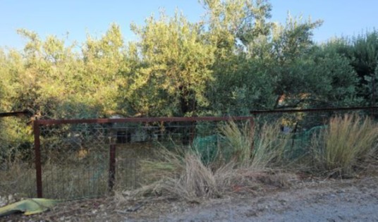 Οικόπεδο  σε πλειστηριασμό Δήμος Λαμιέων