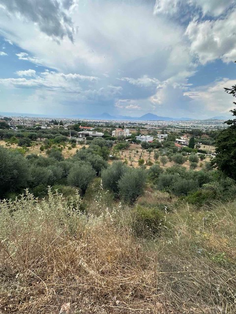 Οικόπεδο  σε πλειστηριασμό Δήμος Πατρέων