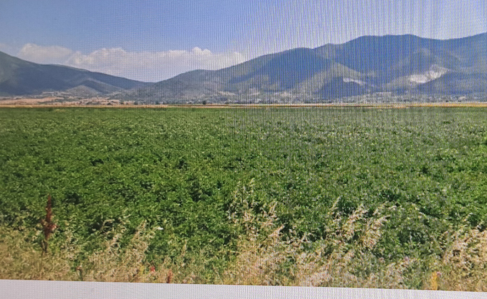 Αγροτεμάχιο  σε πλειστηριασμό Δήμος Κοζάνης