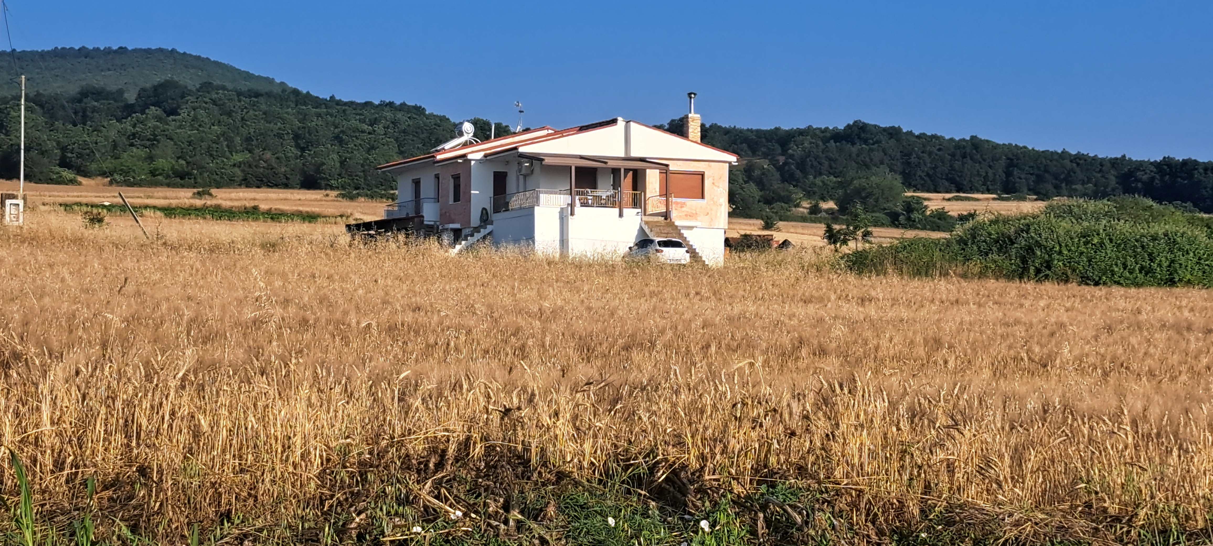 Αγροτεμάχιο  σε πλειστηριασμό Δήμος Κοζάνης