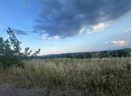 Αγροτεμάχιο με κτίσμα  σε πλειστηριασμό Δήμος Βοίου