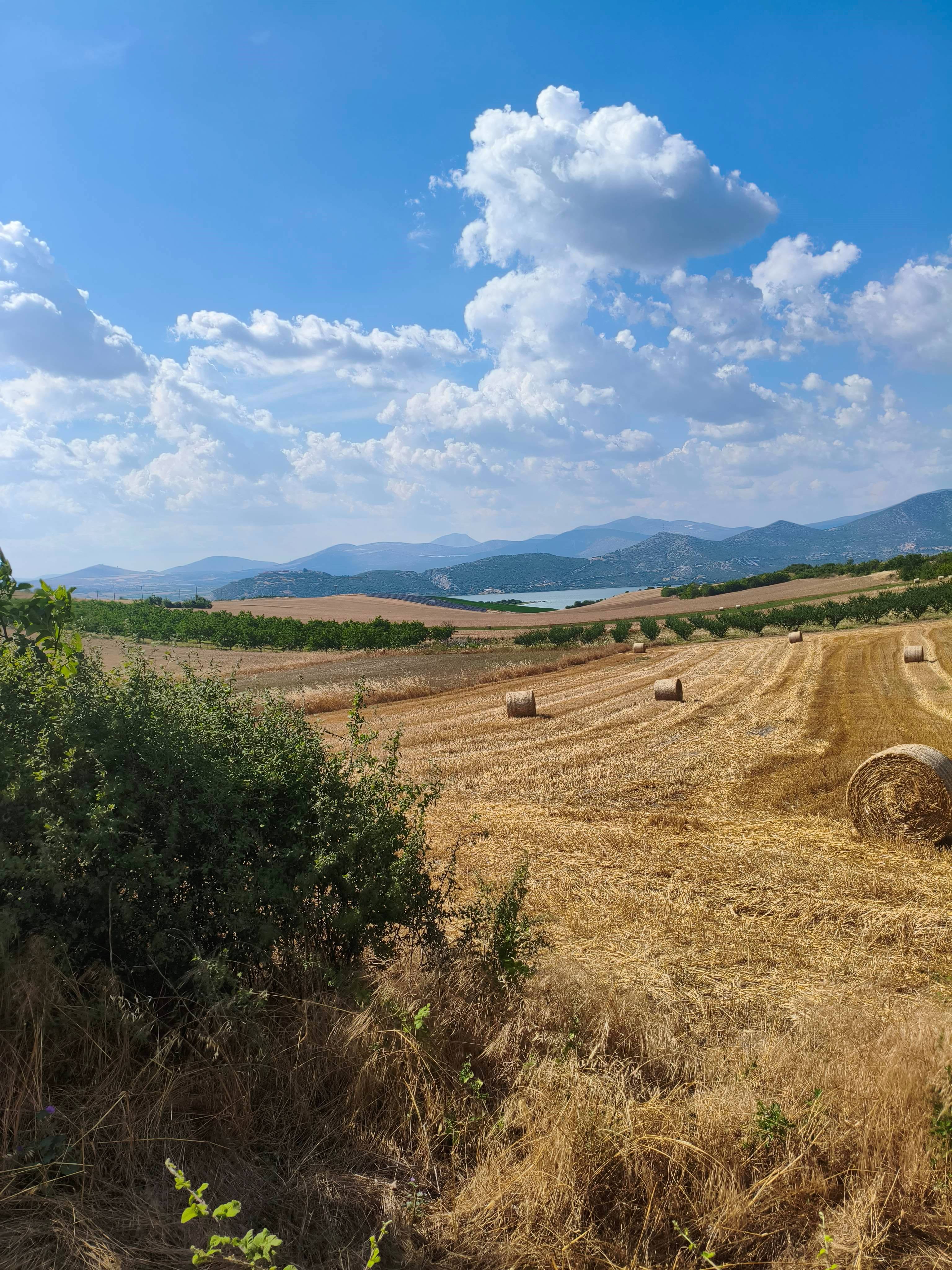 Αγροτεμάχιο  σε πλειστηριασμό Δήμος Σερβίων - Βελβεντού