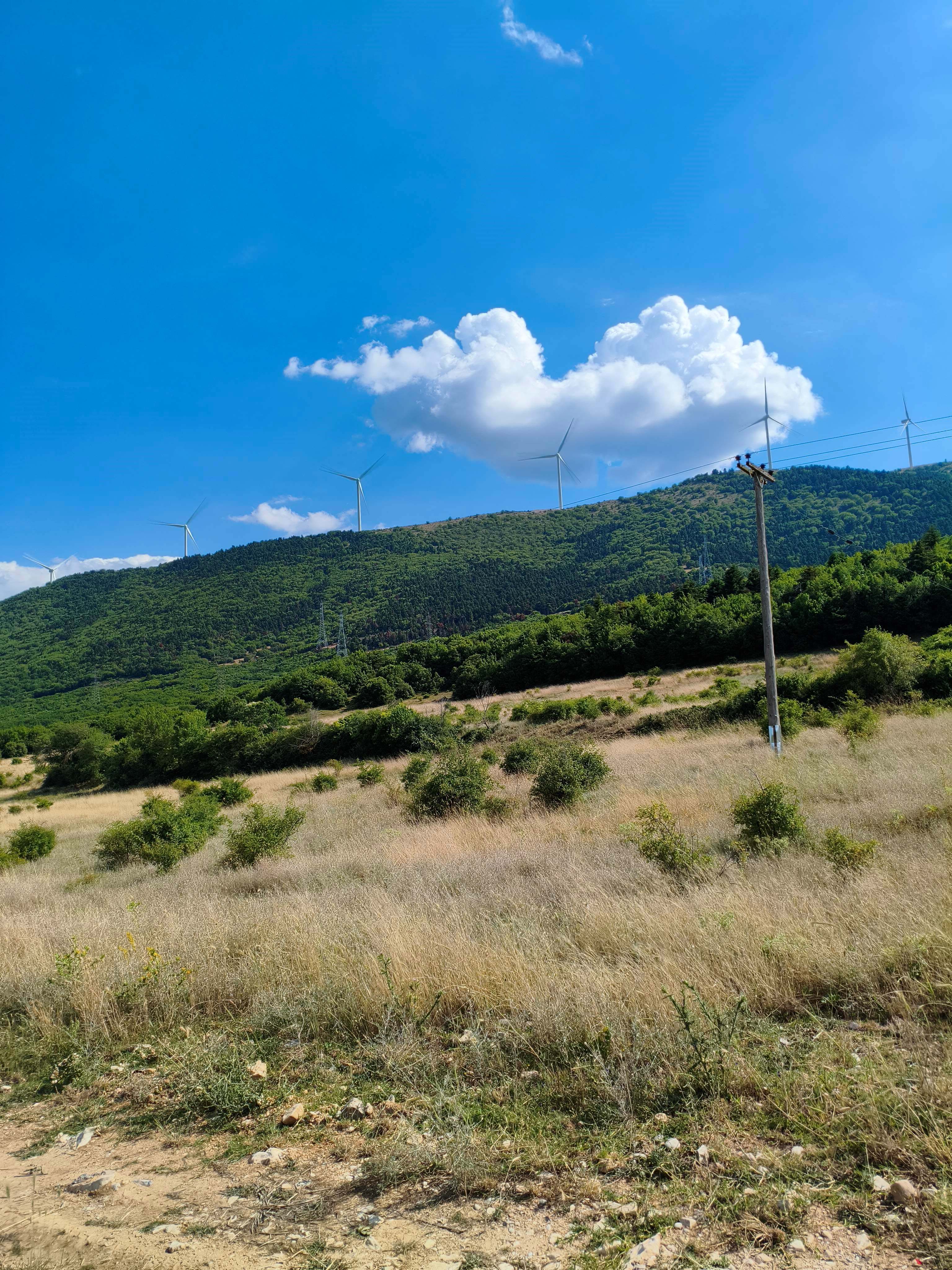 Αγροτεμάχιο  σε πλειστηριασμό Δήμος Σερβίων - Βελβεντού