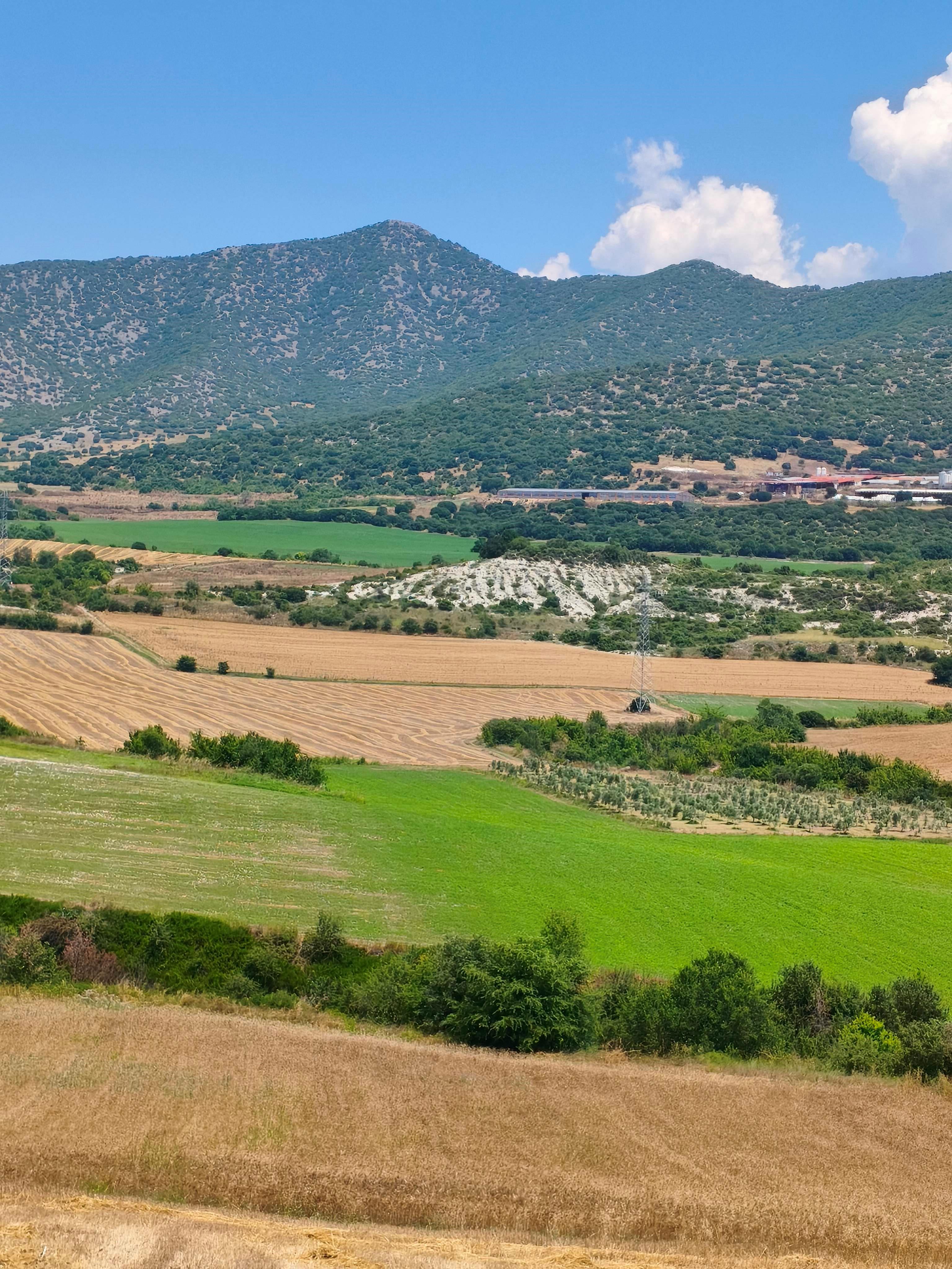 Αγροτεμάχιο  σε πλειστηριασμό Δήμος Σερβίων - Βελβεντού
