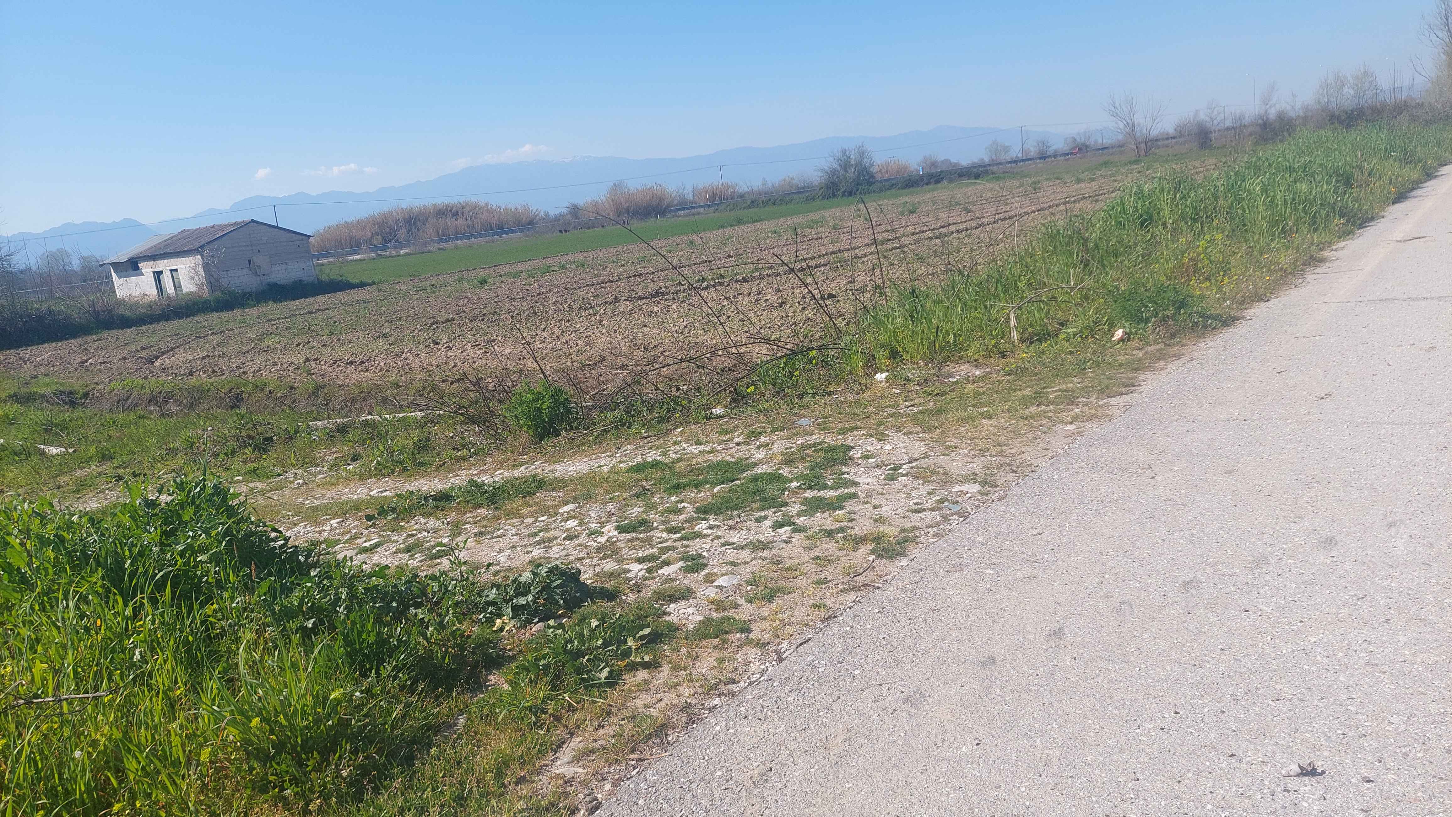 Αγροτεμάχιο  σε πλειστηριασμό Δήμος Μουζακίου
