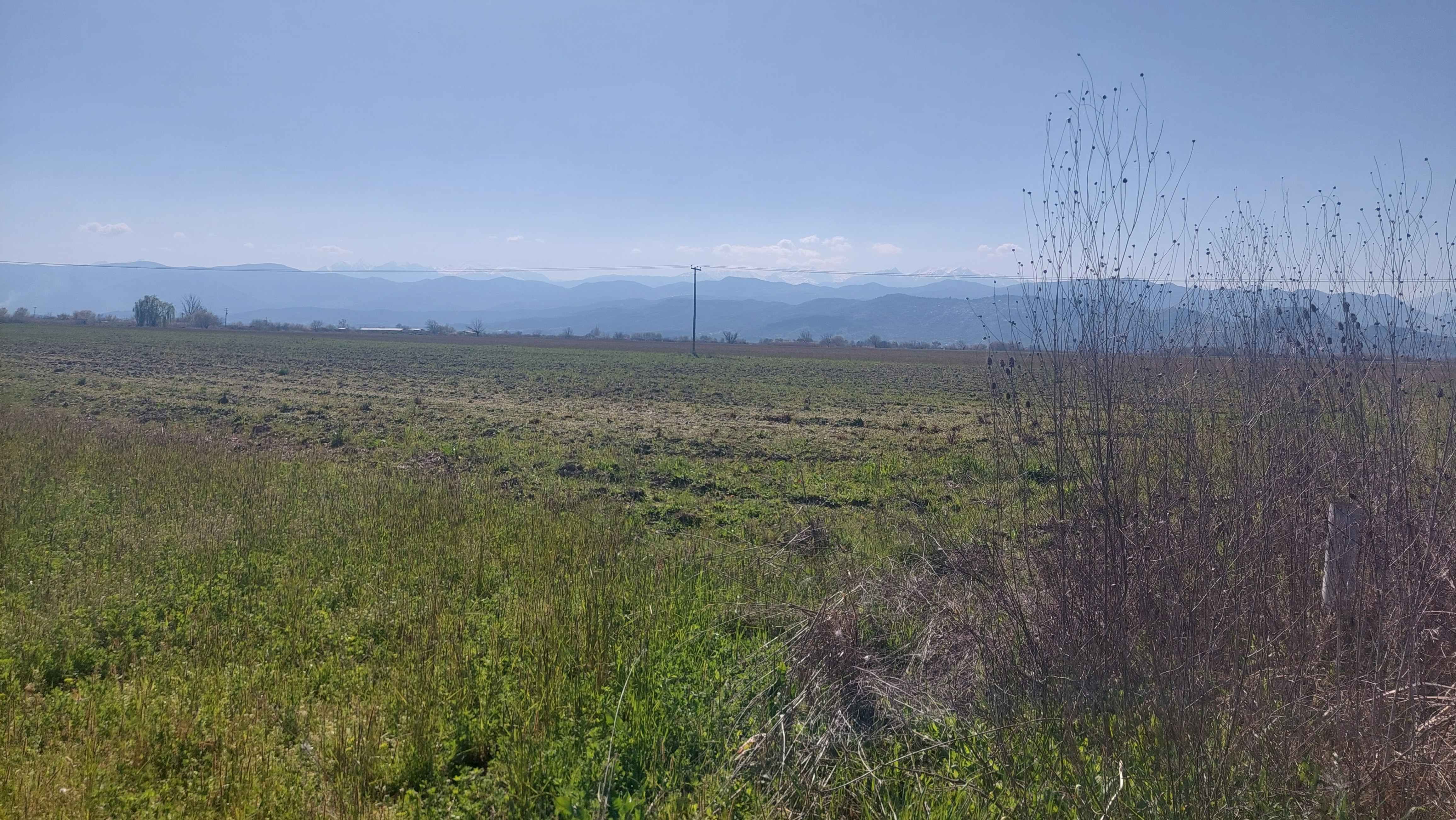Αγροτεμάχιο 100 τ.μ. σε πλειστηριασμό Δήμος Μουζακίου