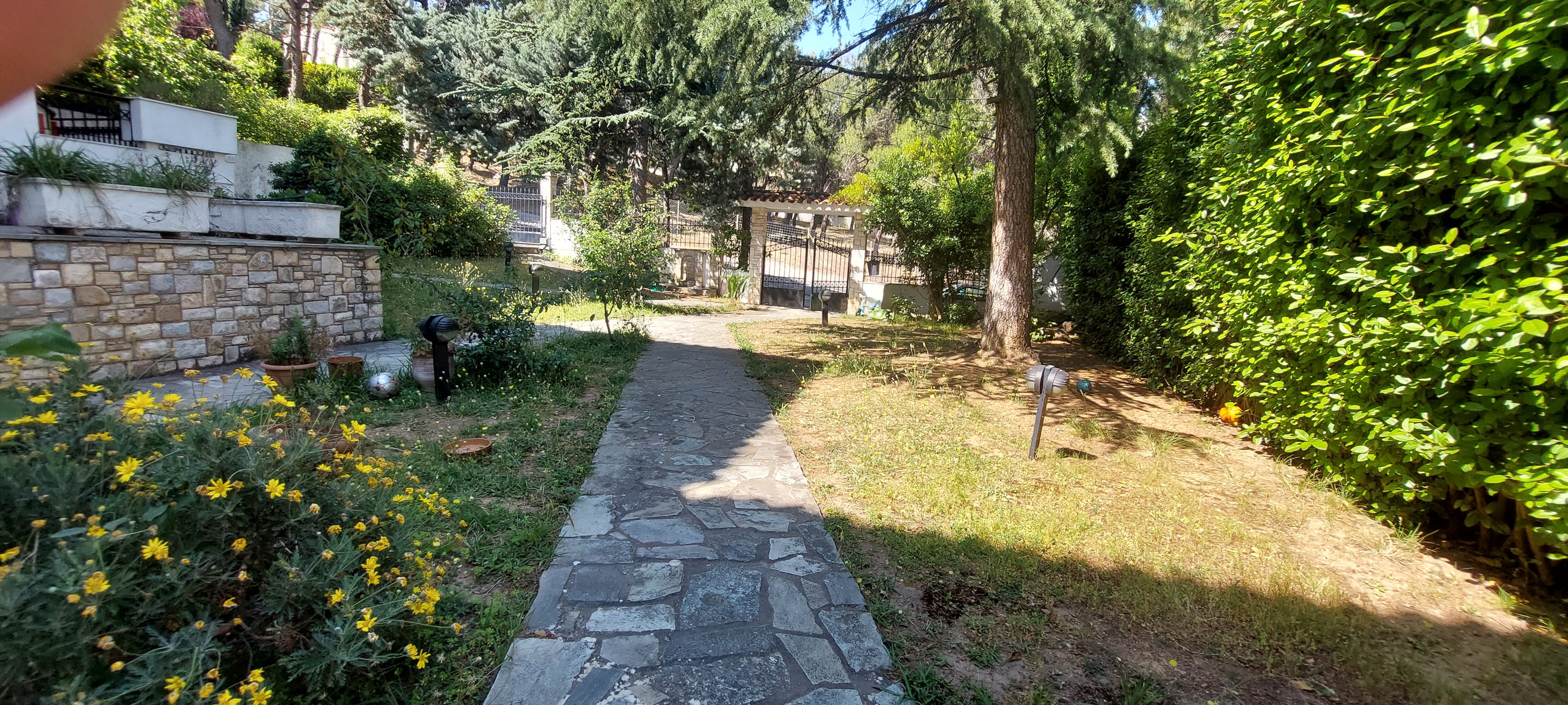 photo1