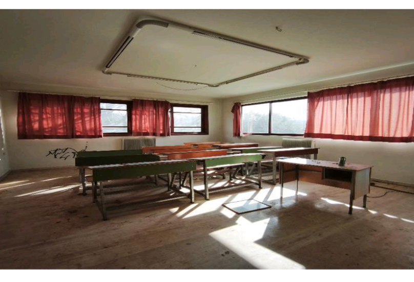 photo6