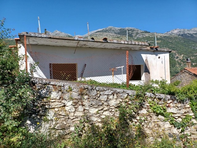 photo2