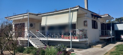 photo0