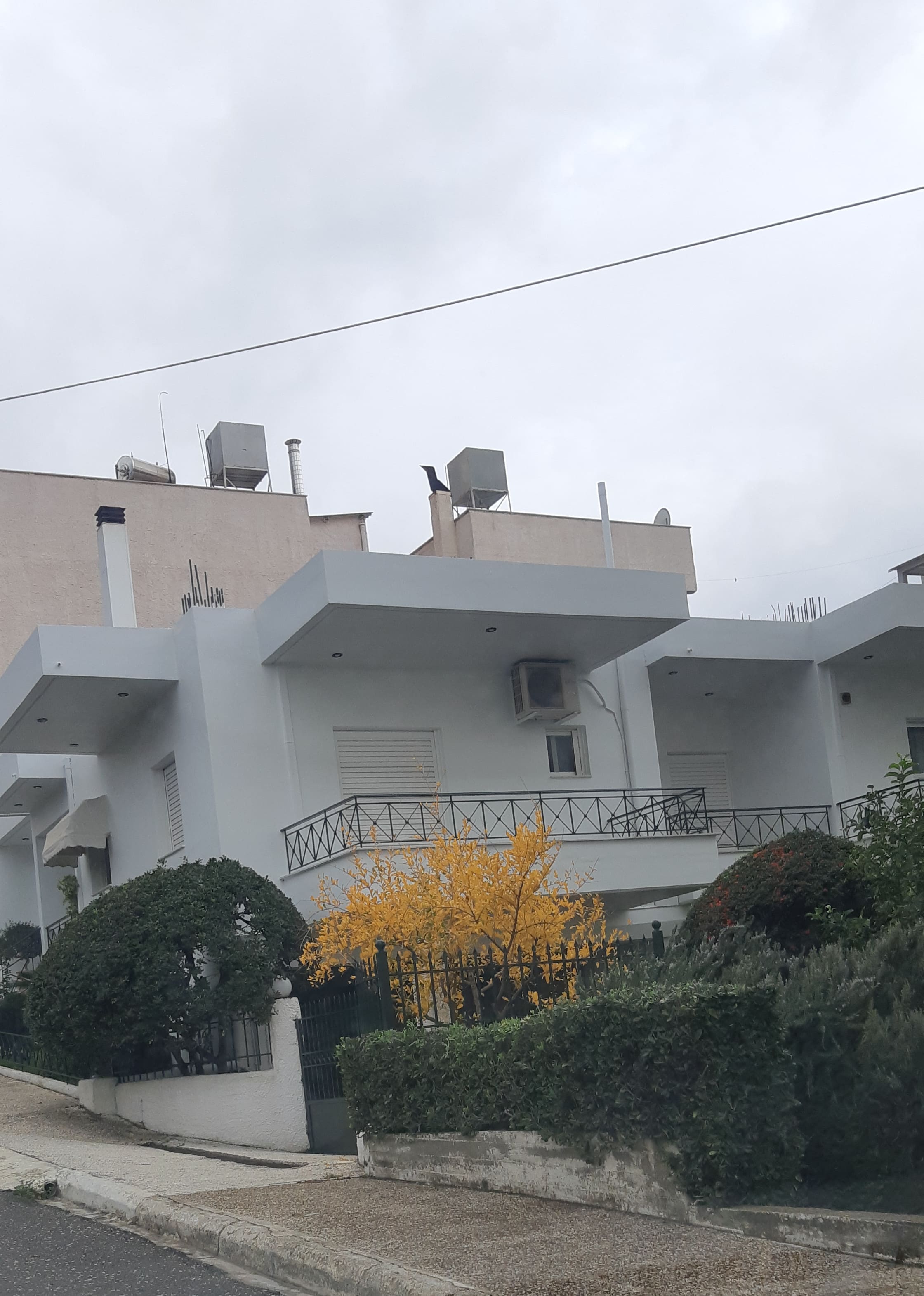 Κατοικία  σε πλειστηριασμό Δήμος Τριφυλίας
