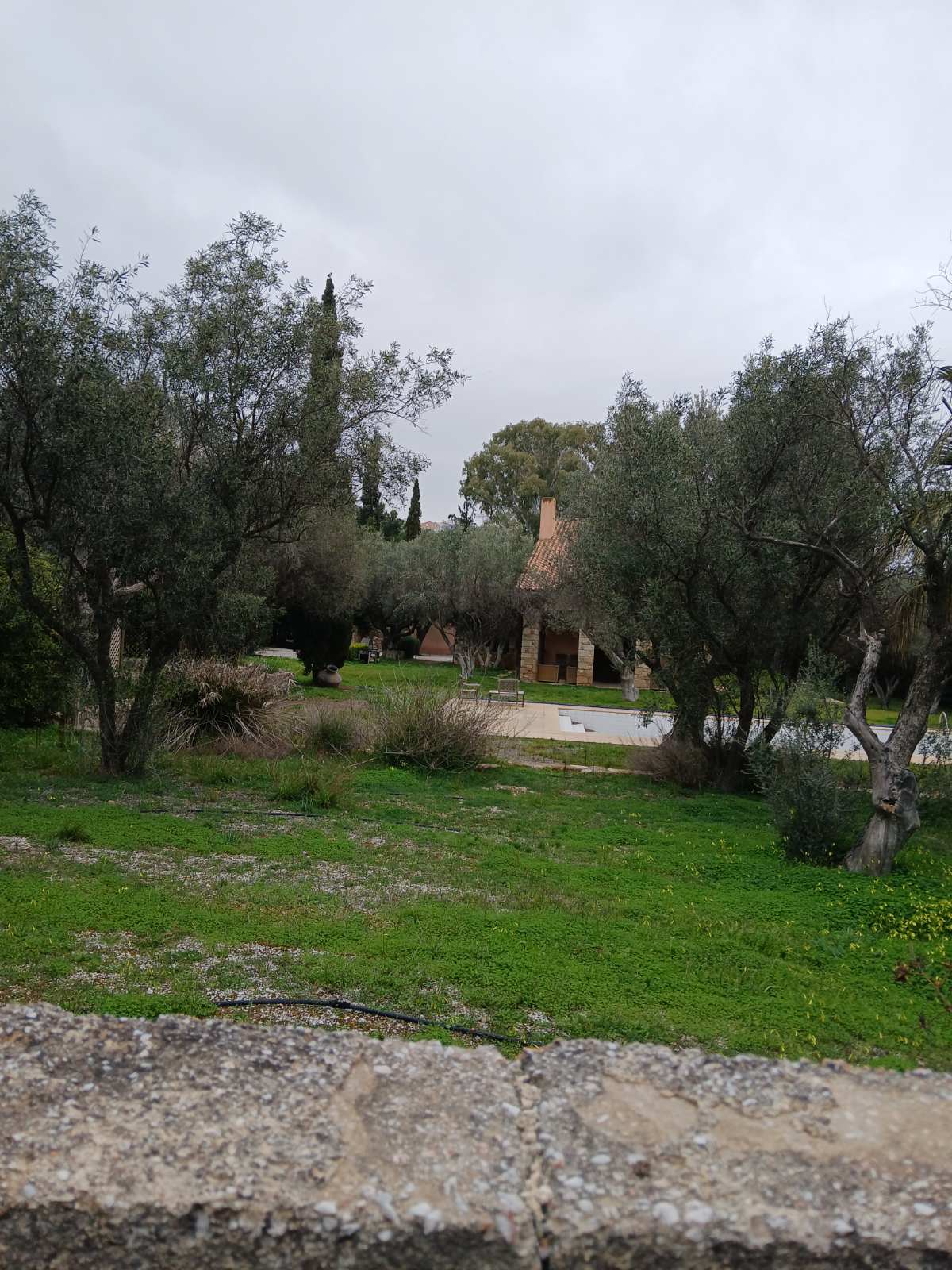 Αγροτεμάχιο με κτίσμα  σε πλειστηριασμό Δήμος Παλλήνης