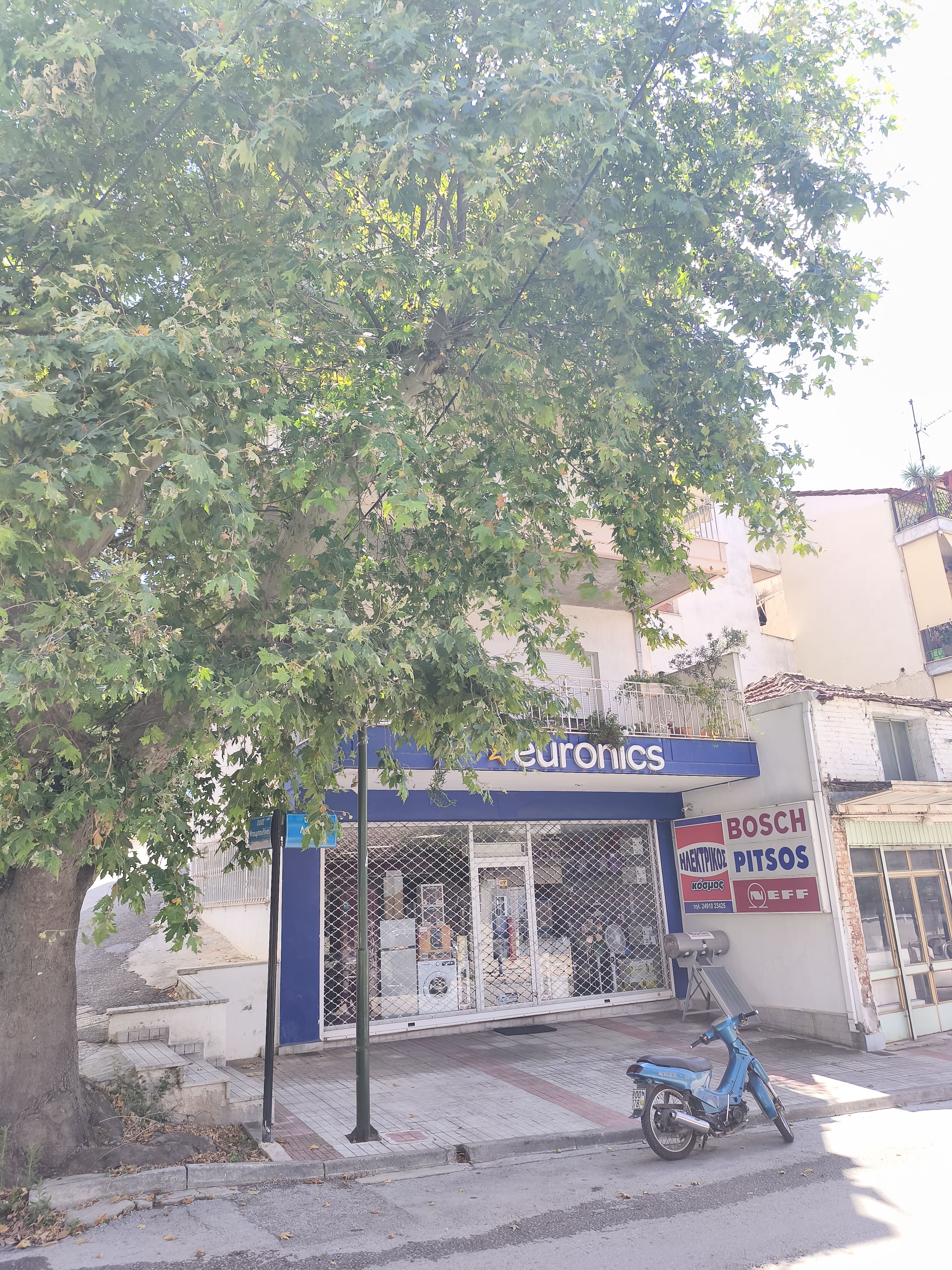 Κατάστημα  σε πλειστηριασμό Δήμος Φαρσάλων