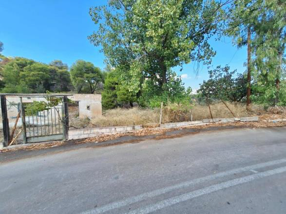 Οικόπεδο  σε πλειστηριασμό Δήμος Κορινθίων