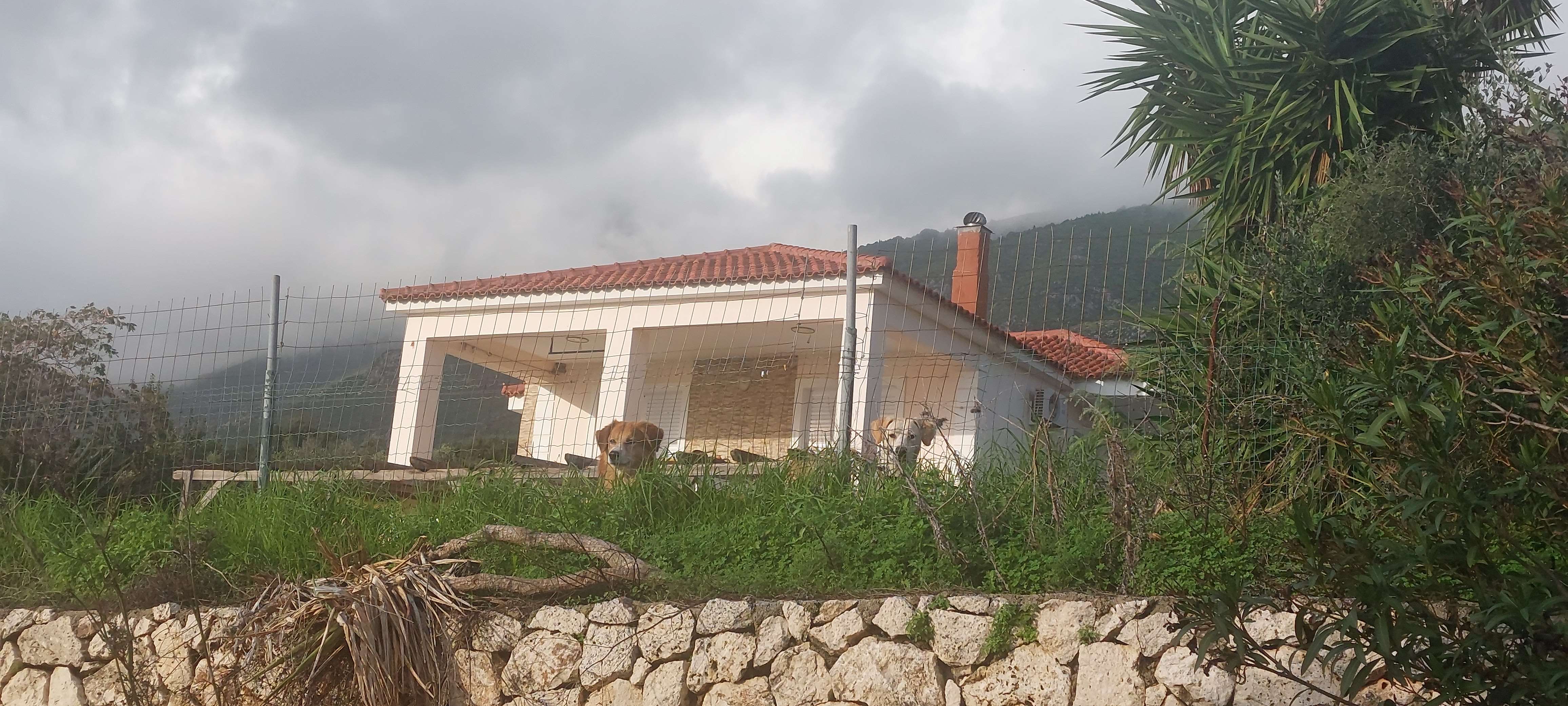 Αγροτεμάχιο με κτίσμα  σε πλειστηριασμό Δήμος Κεφαλονιάς