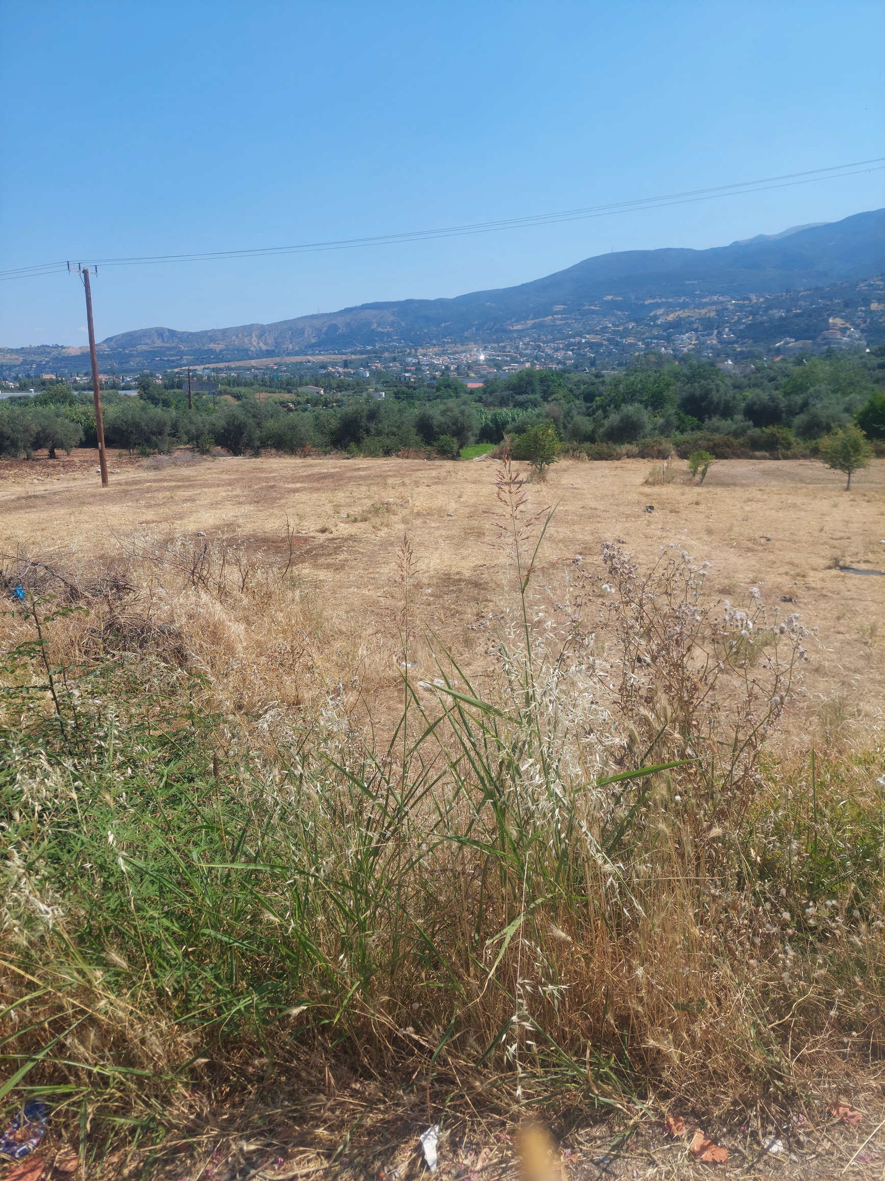 Οικόπεδο  σε πλειστηριασμό Δήμος Πατρέων