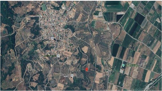 Αγροτεμάχιο  σε πλειστηριασμό Δήμος Λαμιέων
