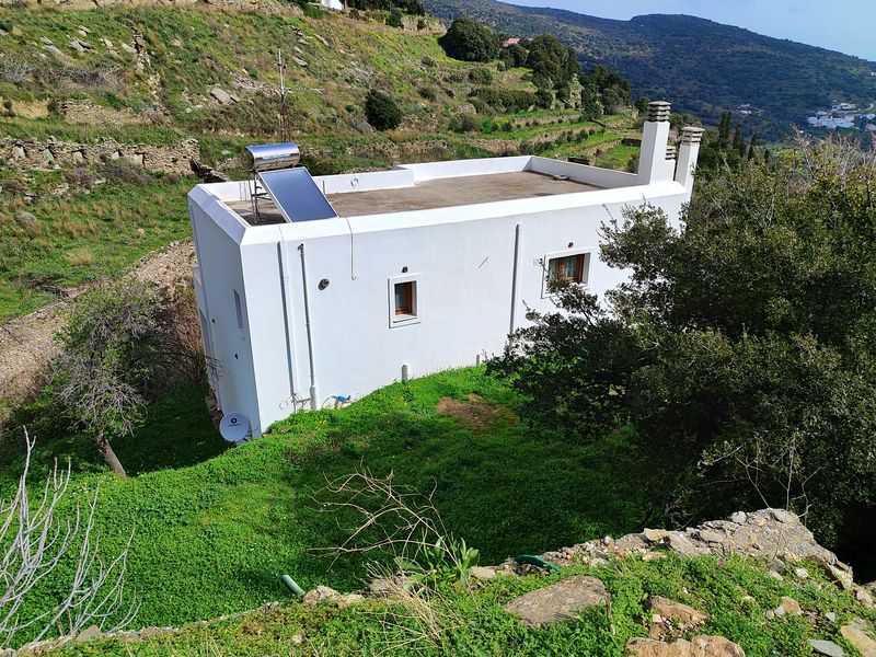 Οικόπεδο με κτίσμα  σε πλειστηριασμό Δήμος Άνδρου