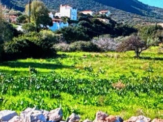 Οικόπεδο  σε πλειστηριασμό Δήμος Μονεμβασίας