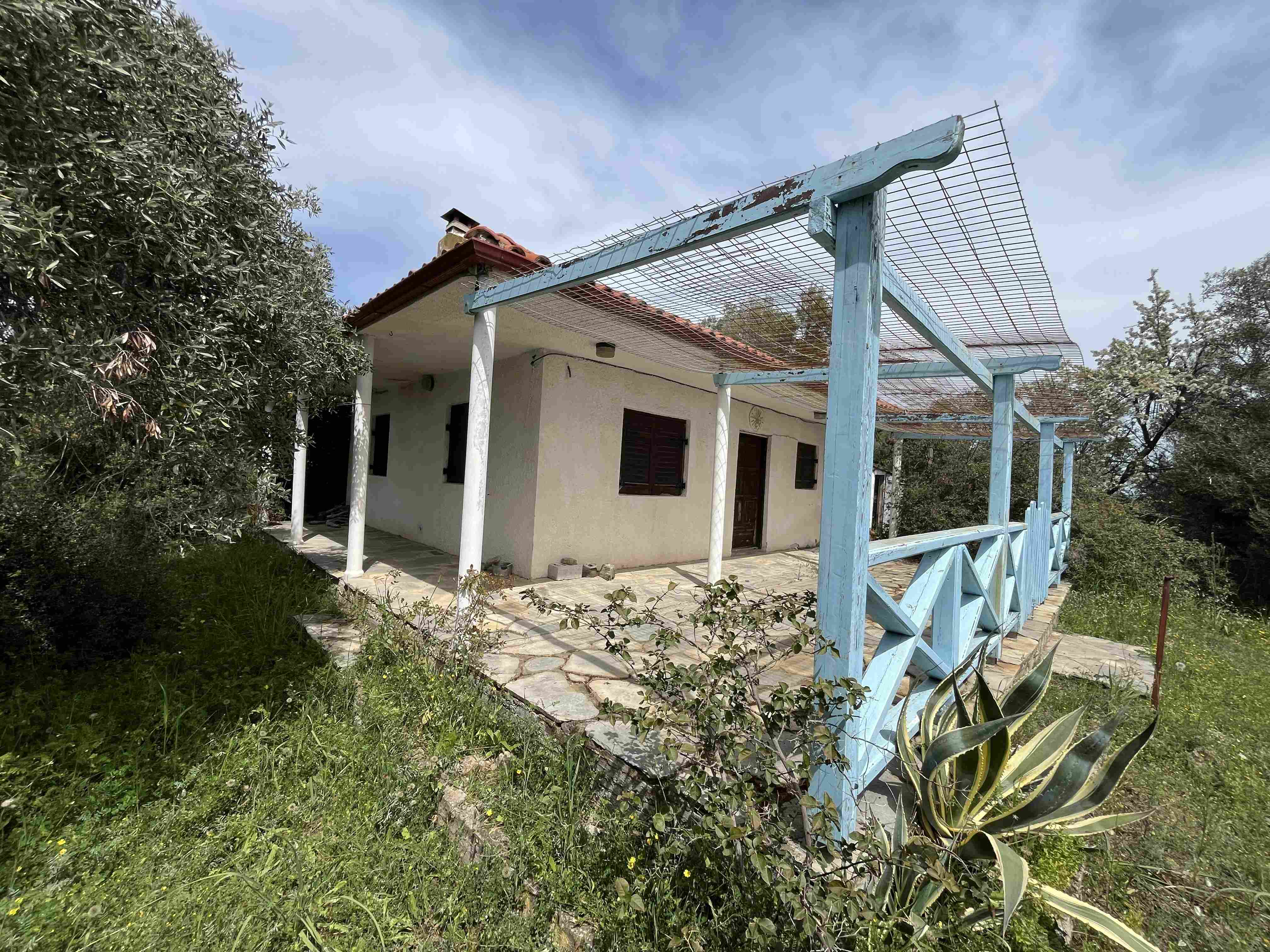 Αγροτεμάχιο με κτίσμα  σε πλειστηριασμό Δήμος Αριστοτέλη