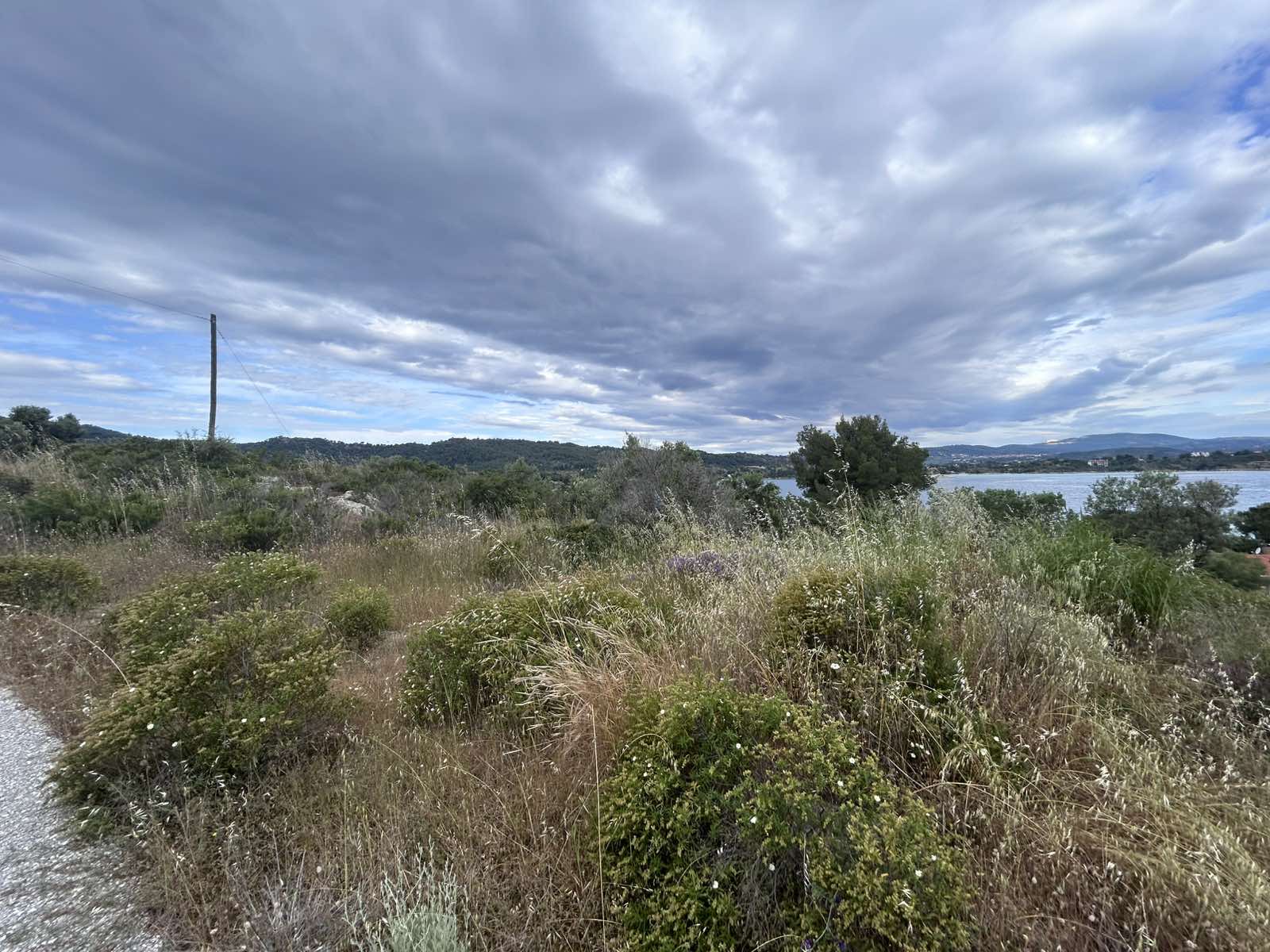 Αγροτεμάχιο  σε πλειστηριασμό Δήμος Σιθωνίας