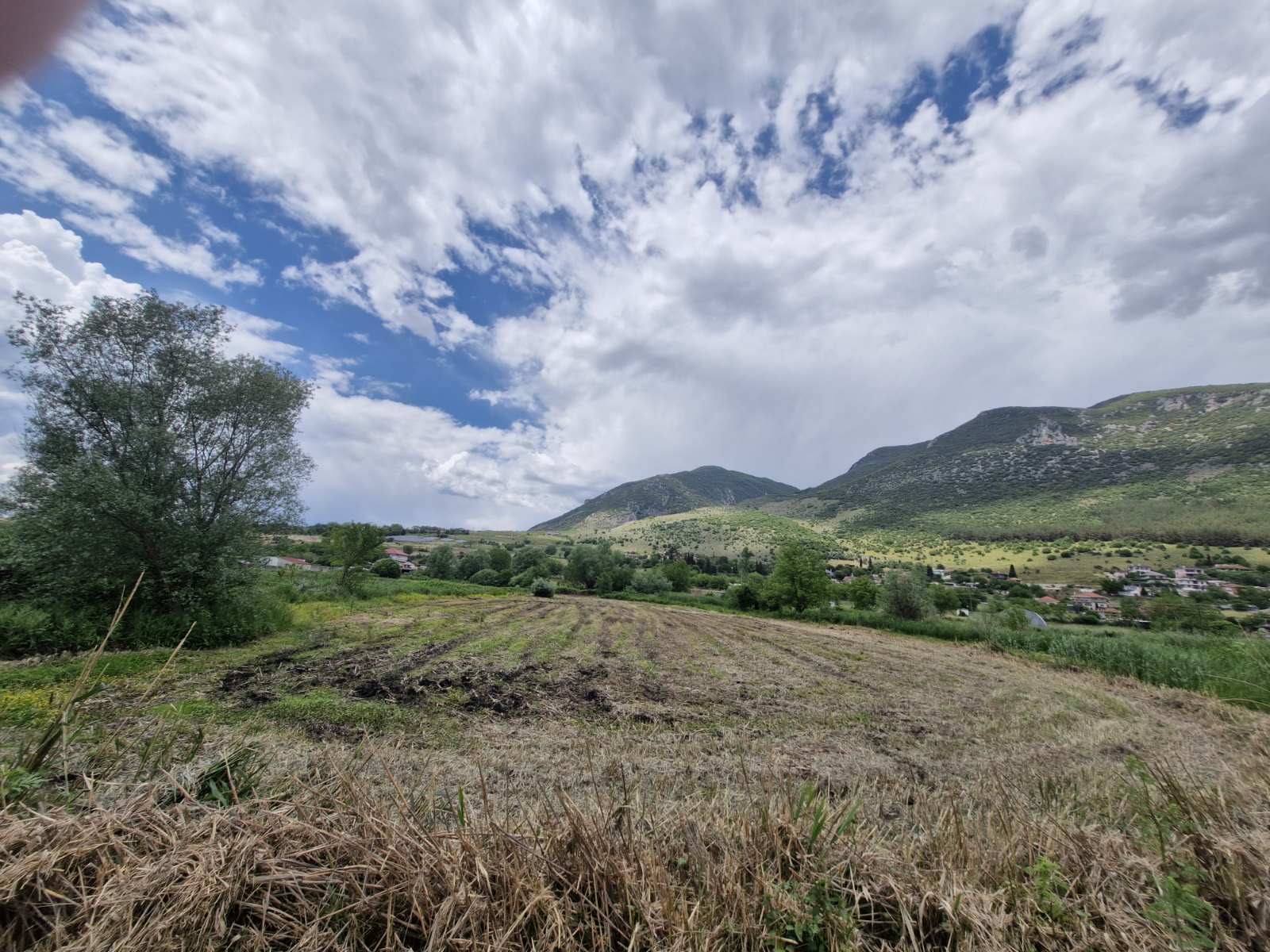 Αγροτεμάχιο  σε πλειστηριασμό Δήμος Ιωαννιτών