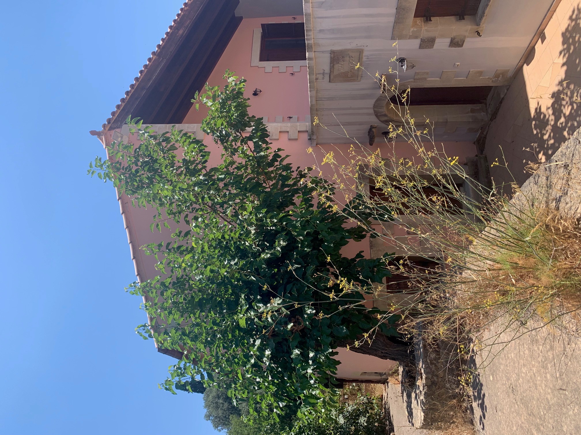 Οικόπεδο με κτίσμα  σε πλειστηριασμό Municipality of Kissamos