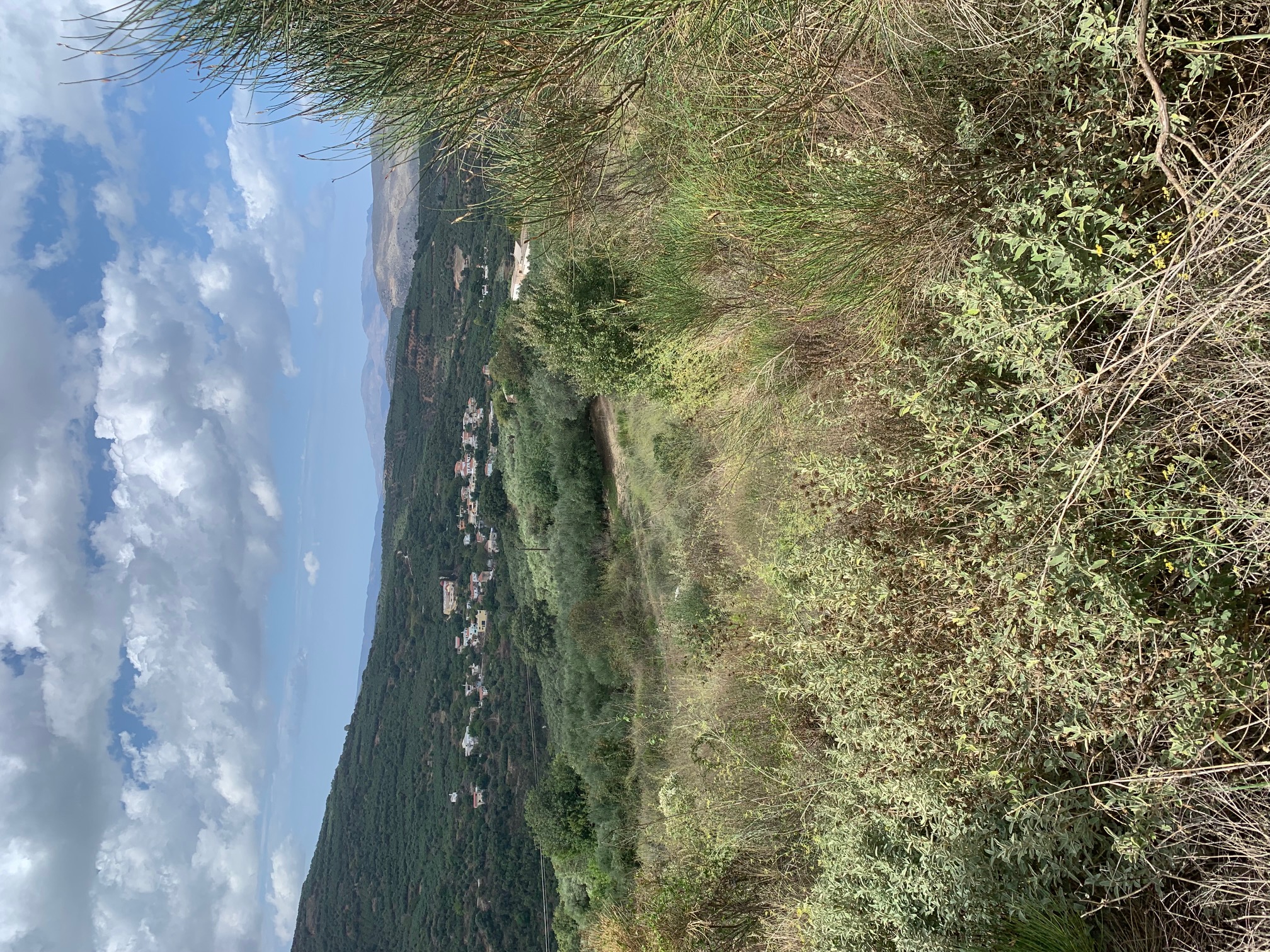 photo0
