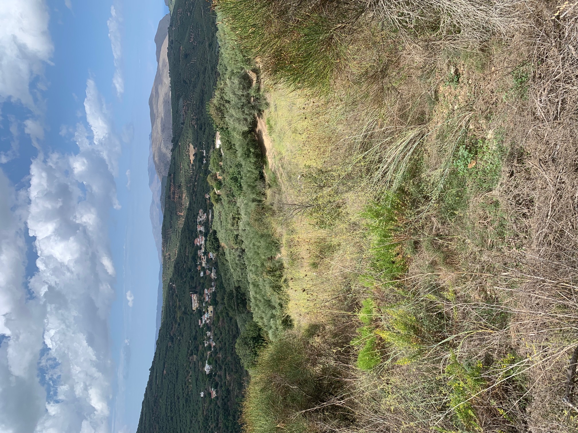 photo1