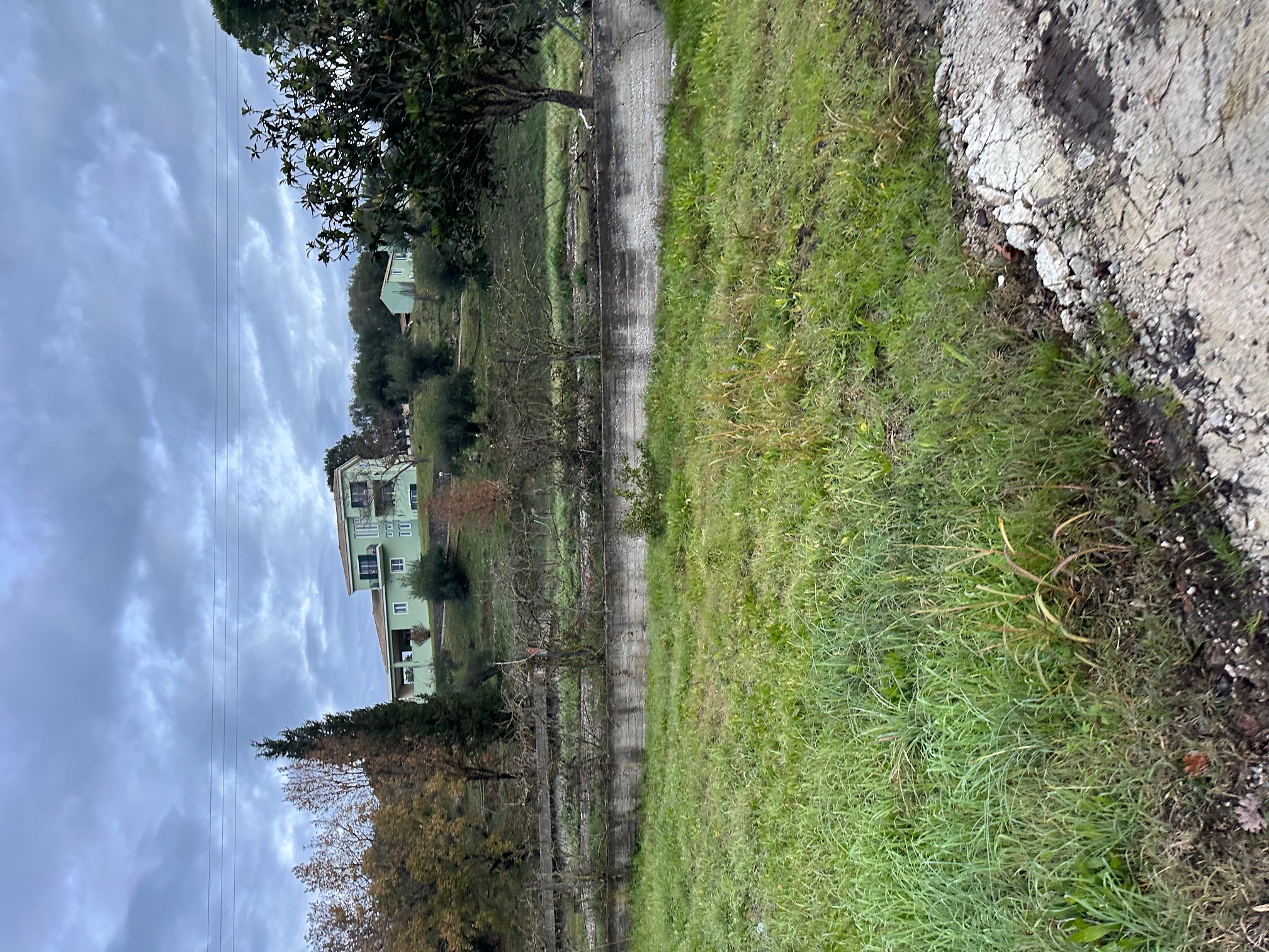 photo1
