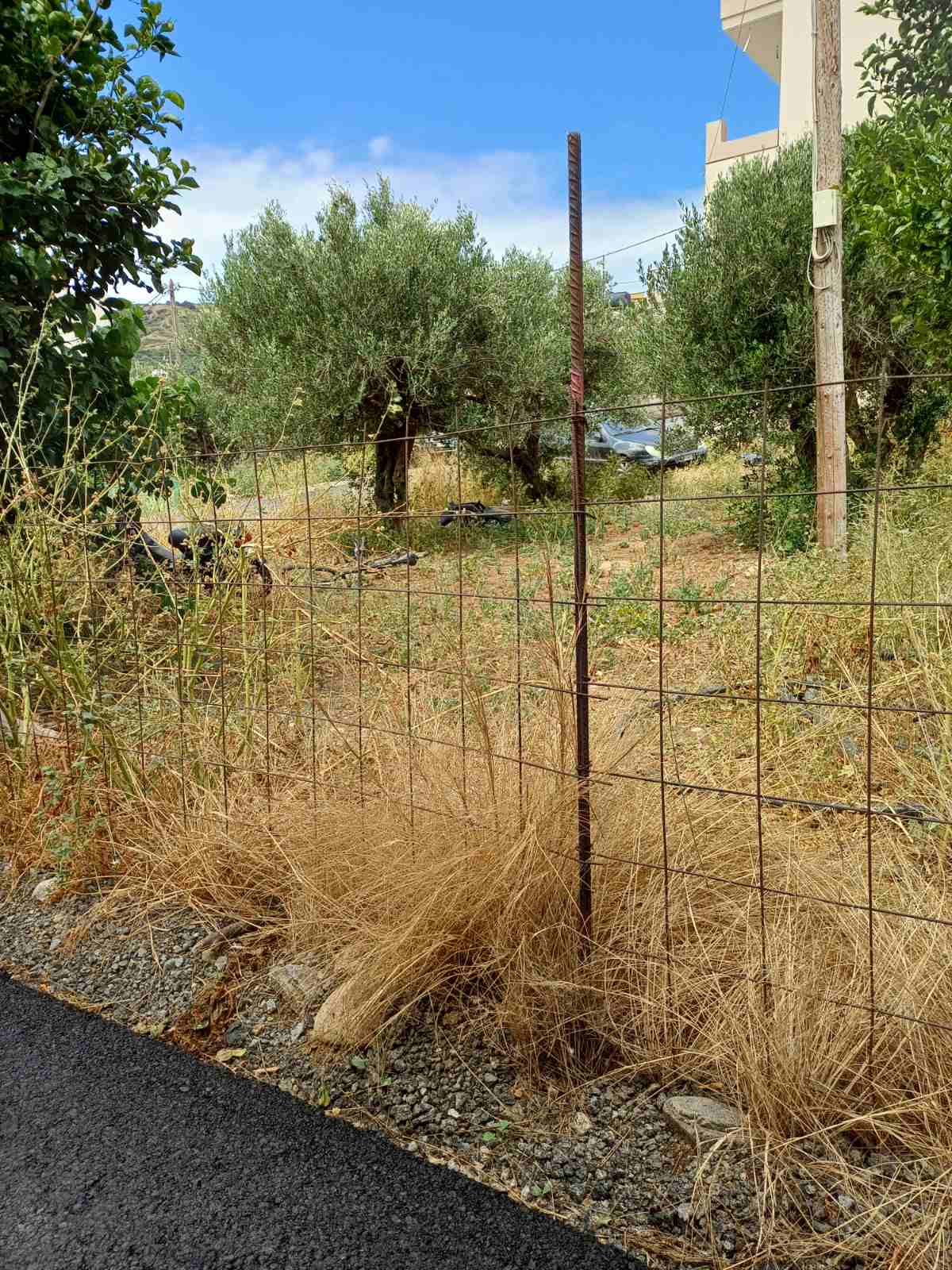 Οικόπεδο  σε πλειστηριασμό Municipality of Kissamos