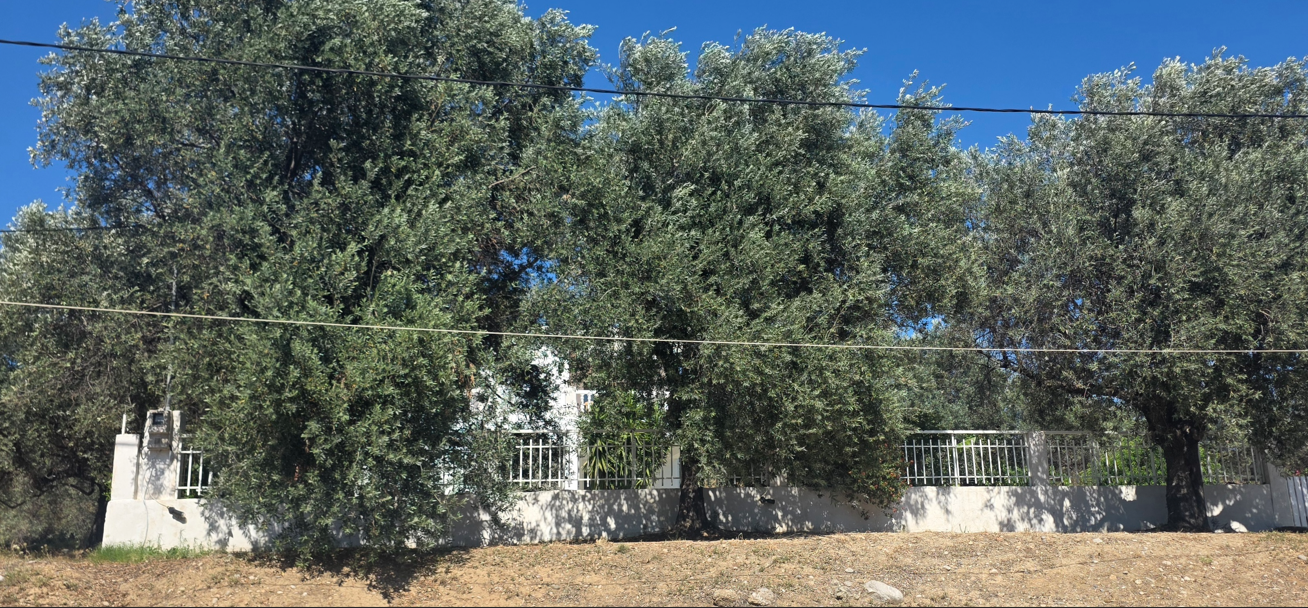 Κατοικία  σε πλειστηριασμό Δήμος Ρόδου