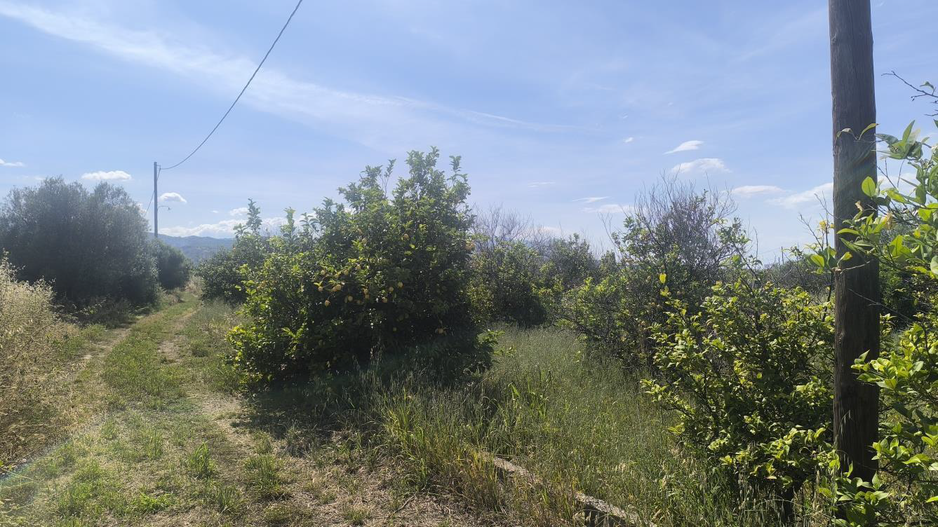 Οικόπεδο 0 sq.m. σε πλειστηριασμό Municipality of Xylokastro - Eurostini