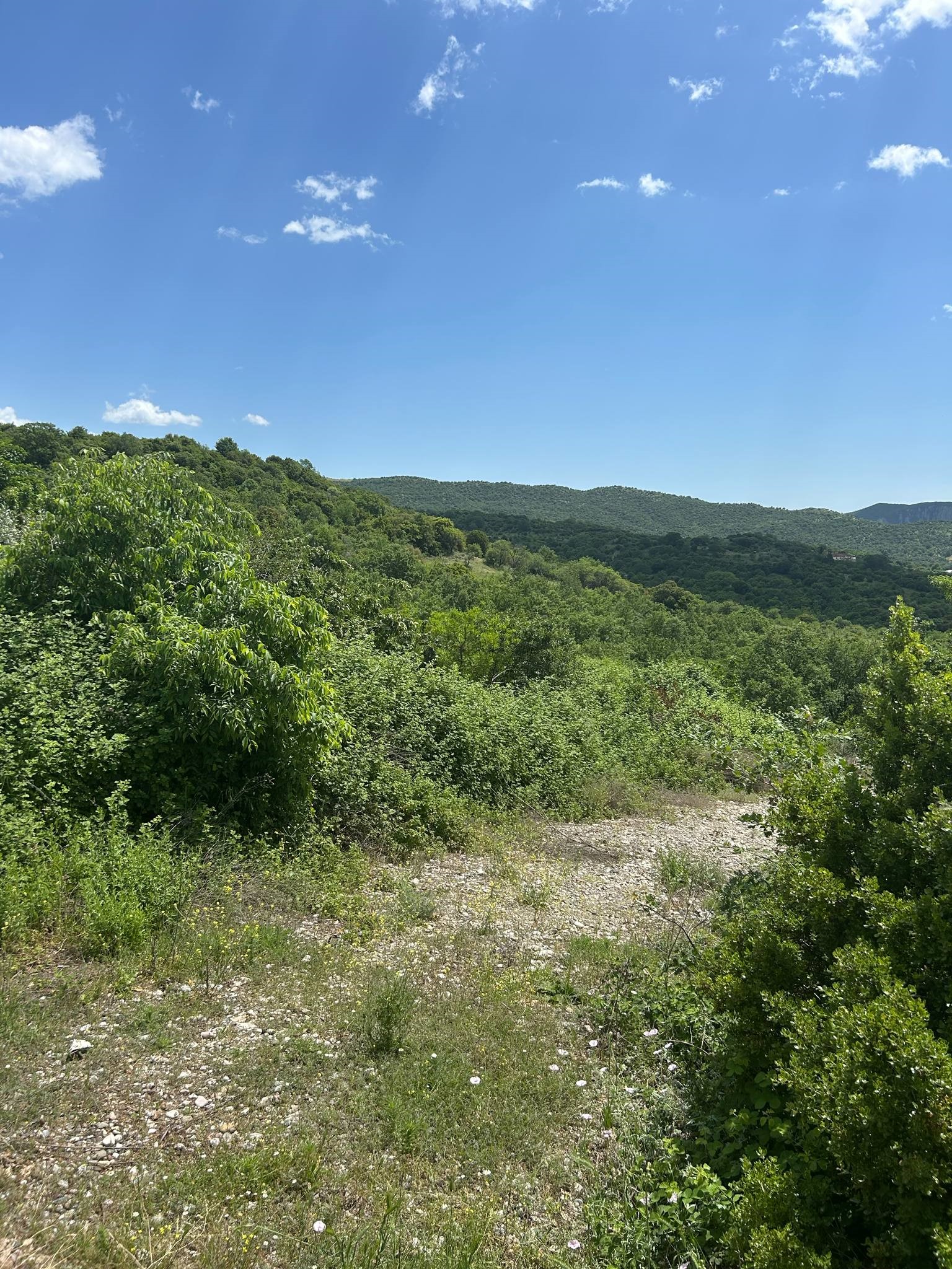 Οικόπεδο  σε πλειστηριασμό Municipality of Meteora
