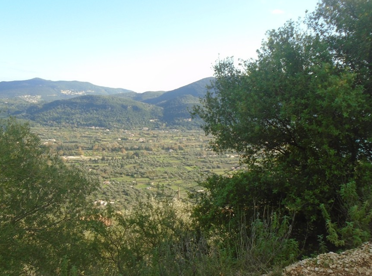 Αγροτεμάχιο 4576.38 sq.m. σε πλειστηριασμό Municipality of Lefkada