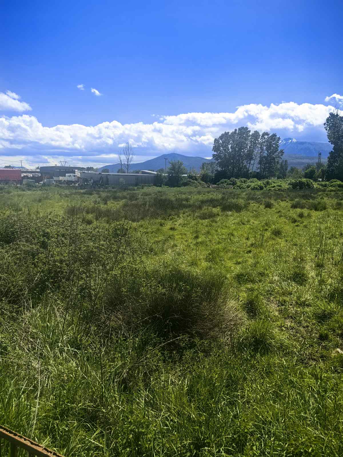 Αγροτεμάχιο 6383 sq.m. σε πλειστηριασμό Municipality of Ioannito