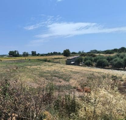 Οικόπεδο με κτίσμα 804 sq.m. σε πλειστηριασμό Municipality of Dion - Olympus