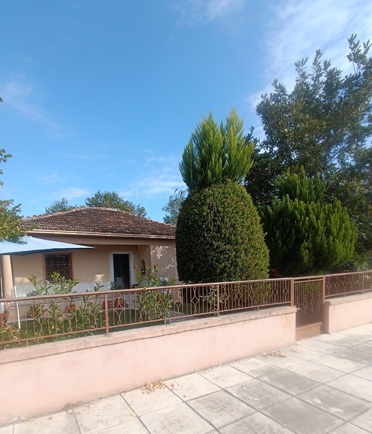 Οικόπεδο με κτίσμα  σε πλειστηριασμό Municipality of Trikkaia