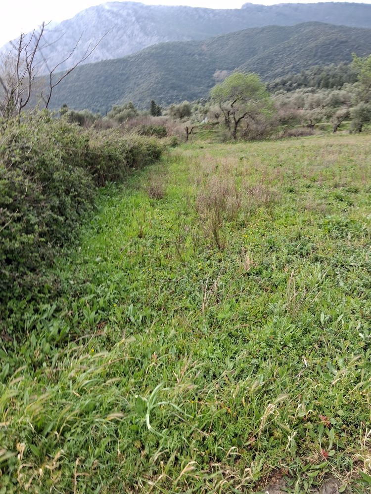 photo6