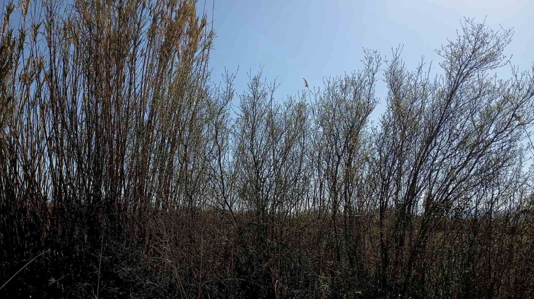 photo2