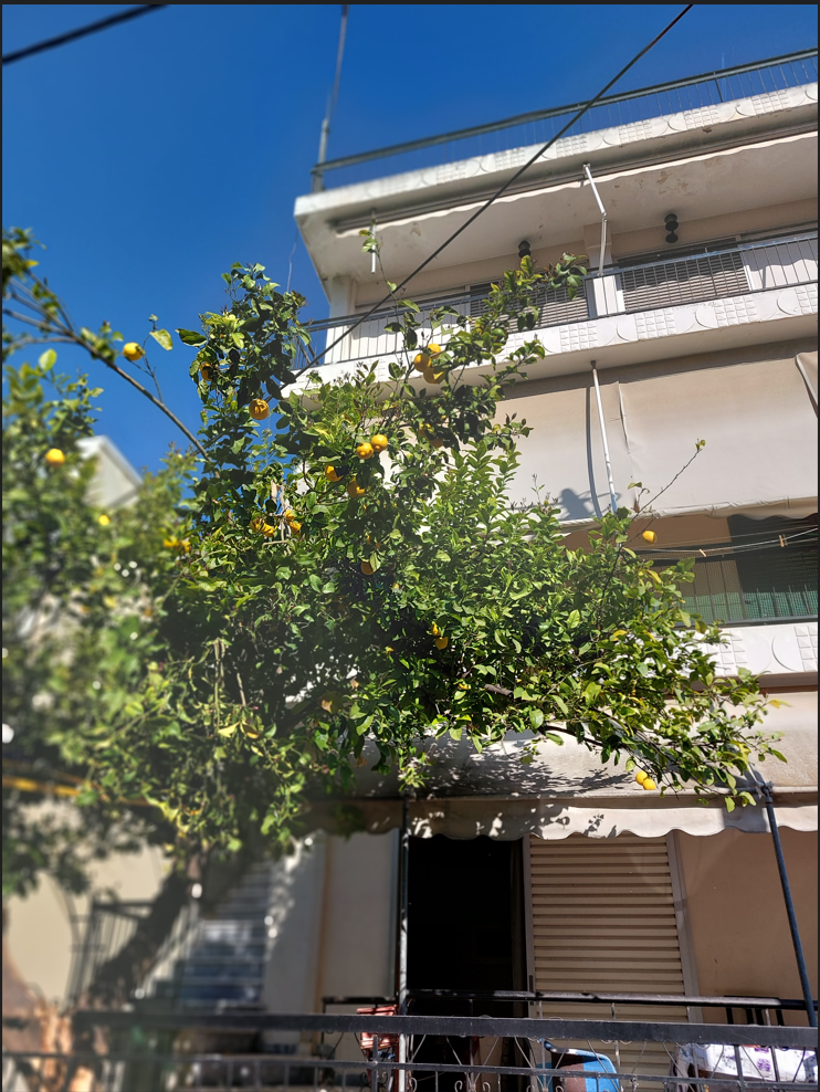 Κατοικία  σε πλειστηριασμό Municipality of Nea Ionia