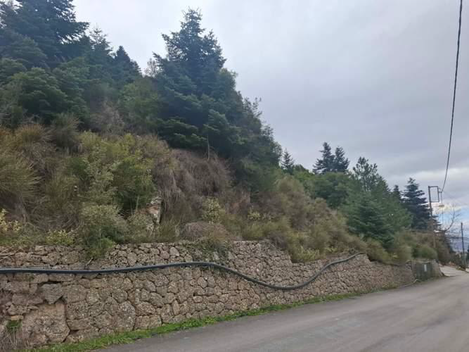 Οικόπεδο 367.75 τ.μ. σε πλειστηριασμό Δήμος Ξυλοκάστρου - Ευρωστίνης