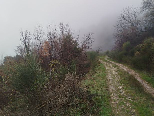 Οικόπεδο 1253.90 sq.m. σε πλειστηριασμό Municipality of Xylokastro - Eurostini